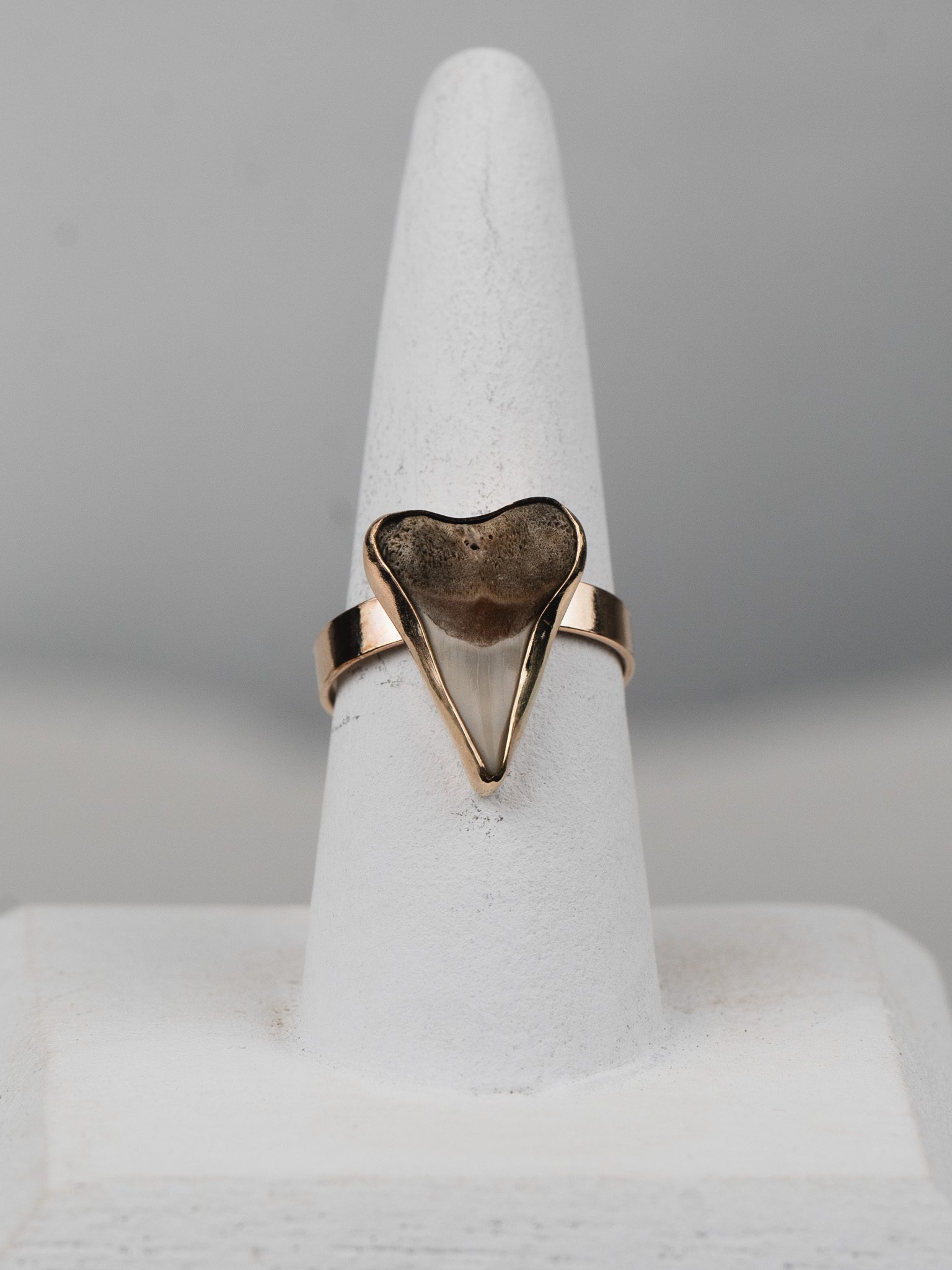 Custom Shark Tooth Ring - Image 5