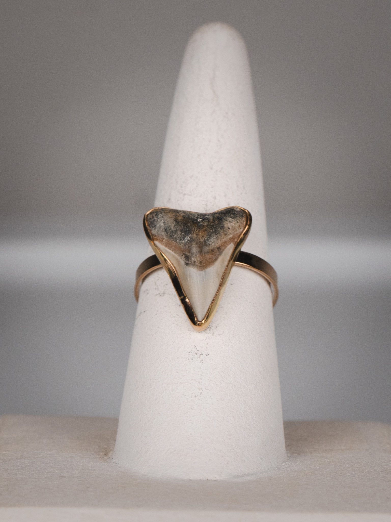 Custom Shark Tooth Ring - Image 6