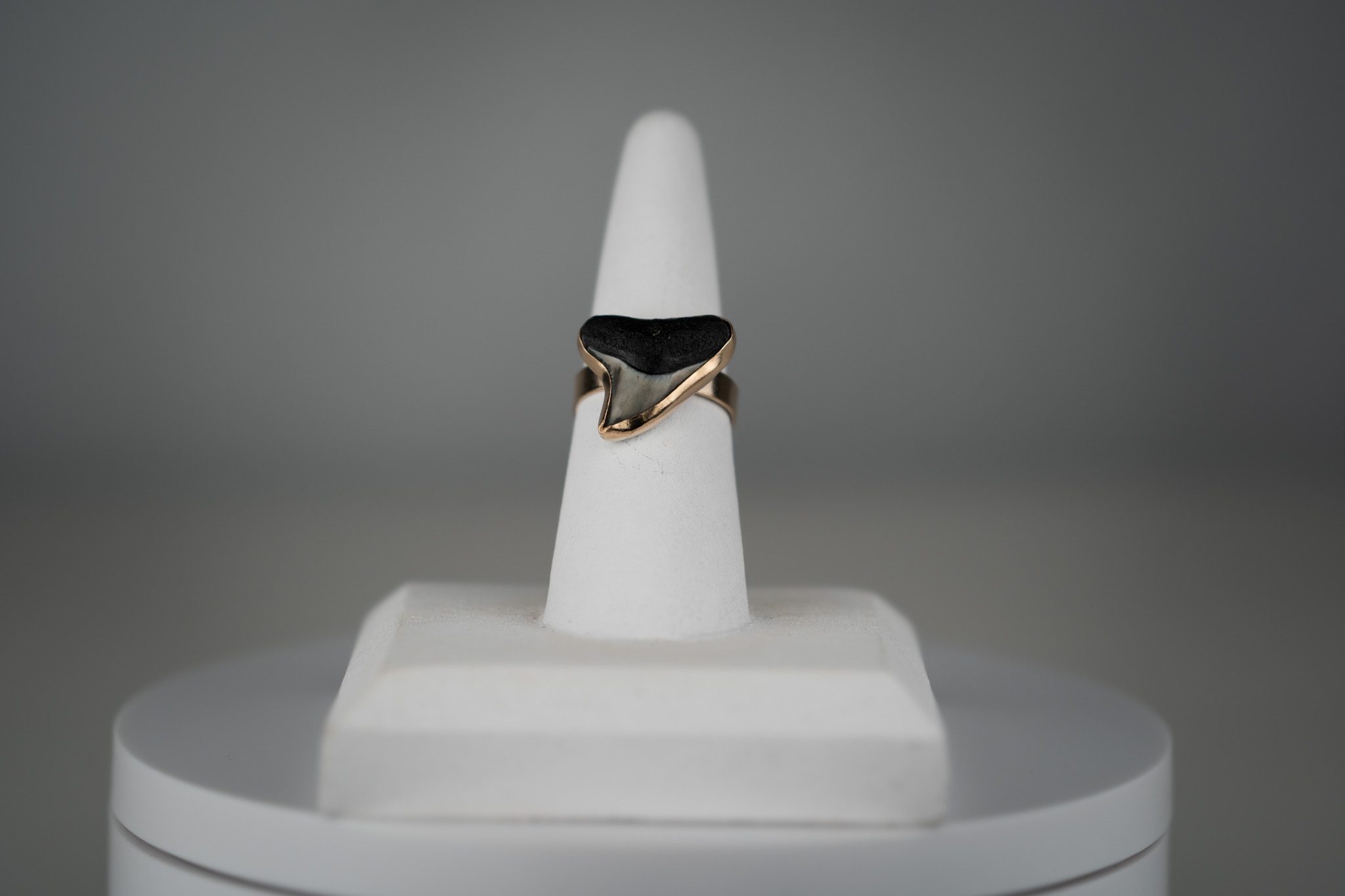 Custom Shark Tooth Ring - Image 7