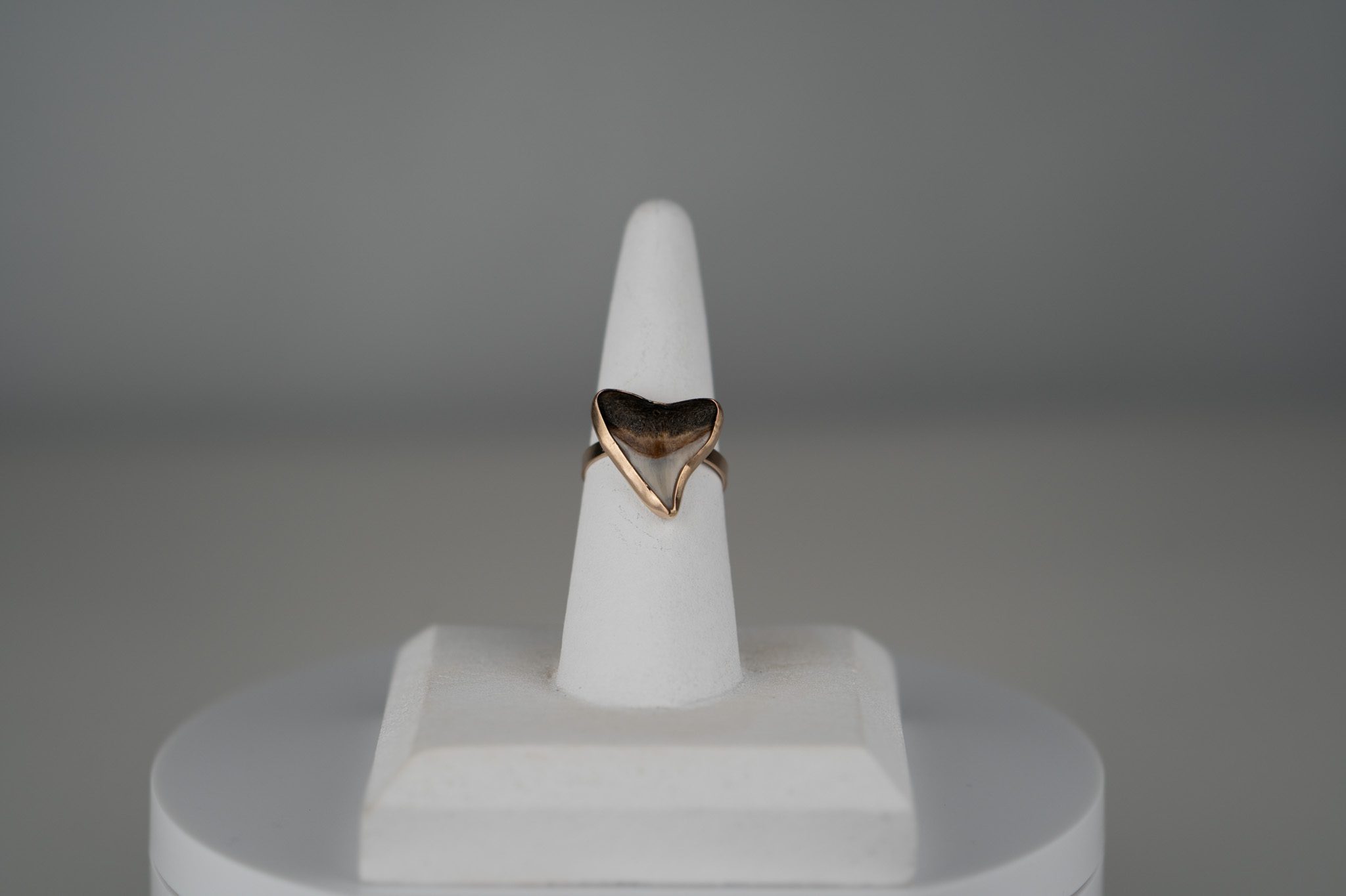 Custom Shark Tooth Ring - Image 8