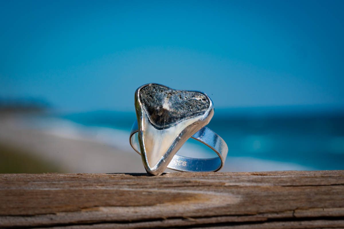Custom Shark Tooth Ring