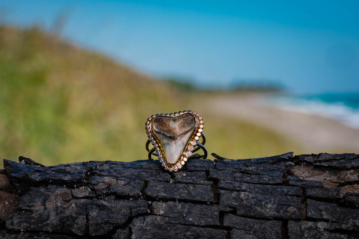 Sun Rays Shark Tooth Ring