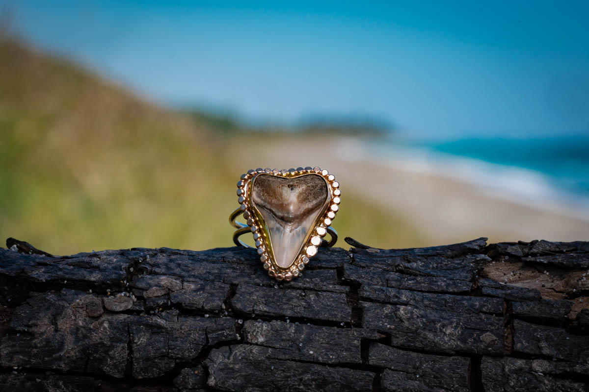 Sun Rays Shark Tooth Ring - Image 2