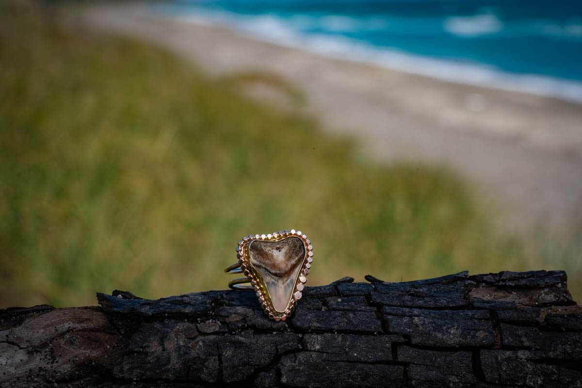 Sun Rays Shark Tooth Ring - Image 3