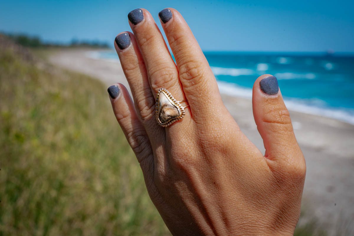 Sun Rays Shark Tooth Ring - Image 4
