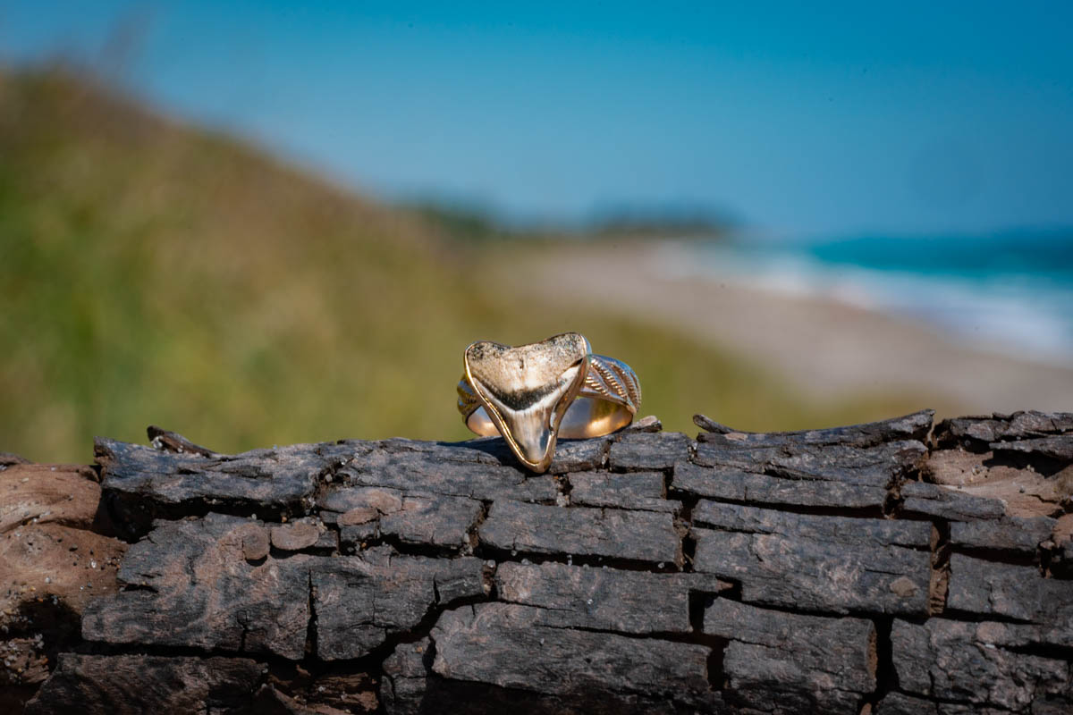 Palm Shark Ring