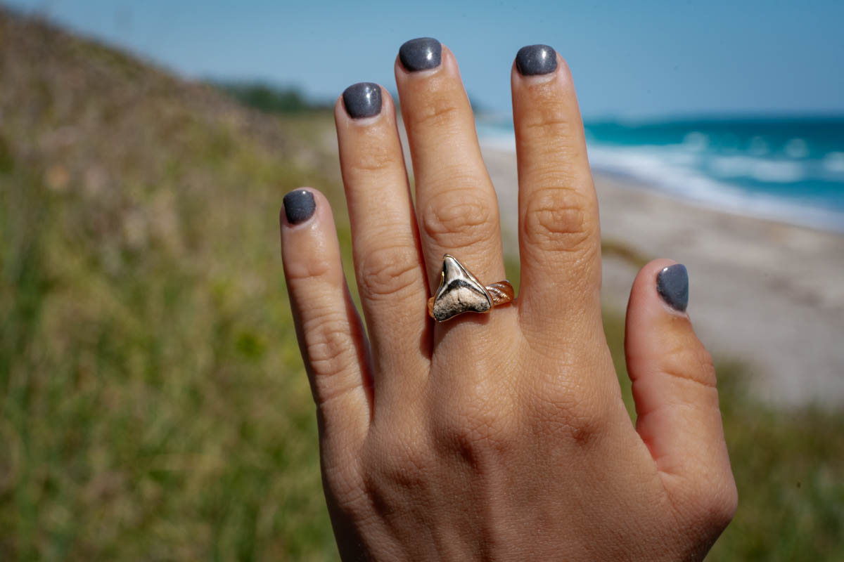 Palm Shark Ring - Image 3