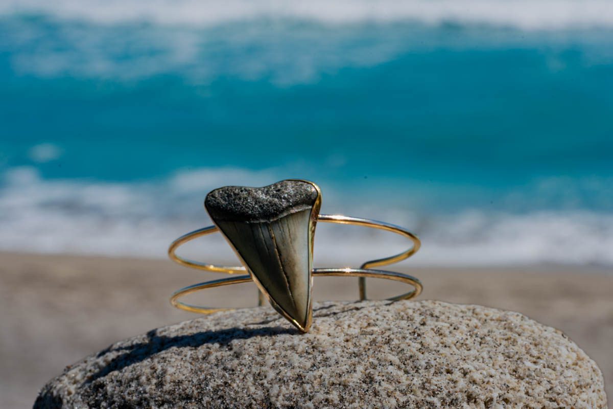Large Tooth Cuff - Image 6