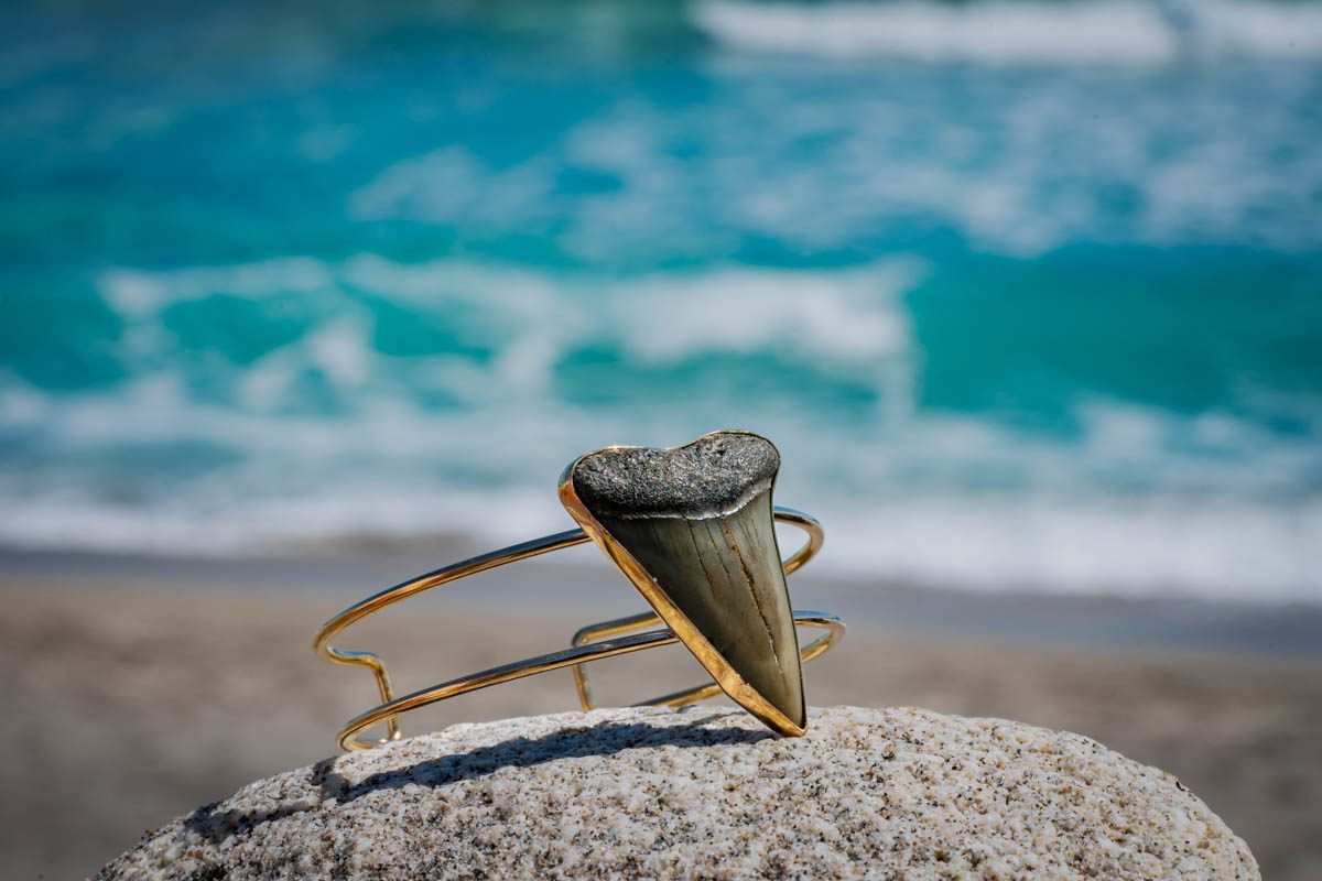 Large Tooth Cuff - Image 5