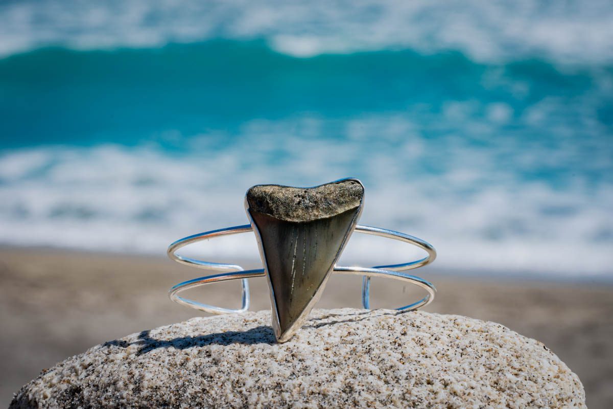 Large Tooth Cuff