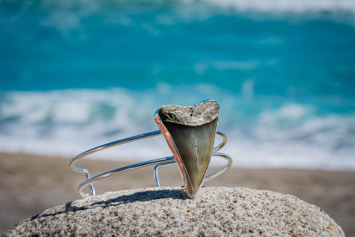 Large Tooth Cuff - Image 3