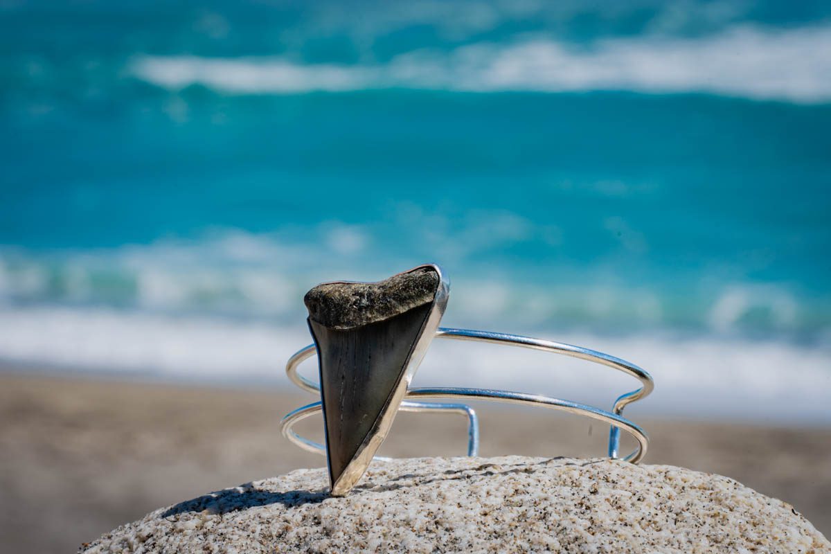 Large Tooth Cuff - Image 2