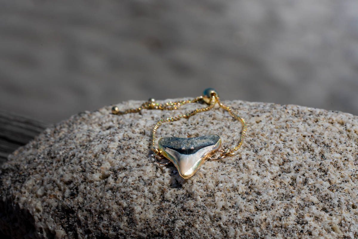 Custom Adjustable Shark Tooth Bracelet - Image 2