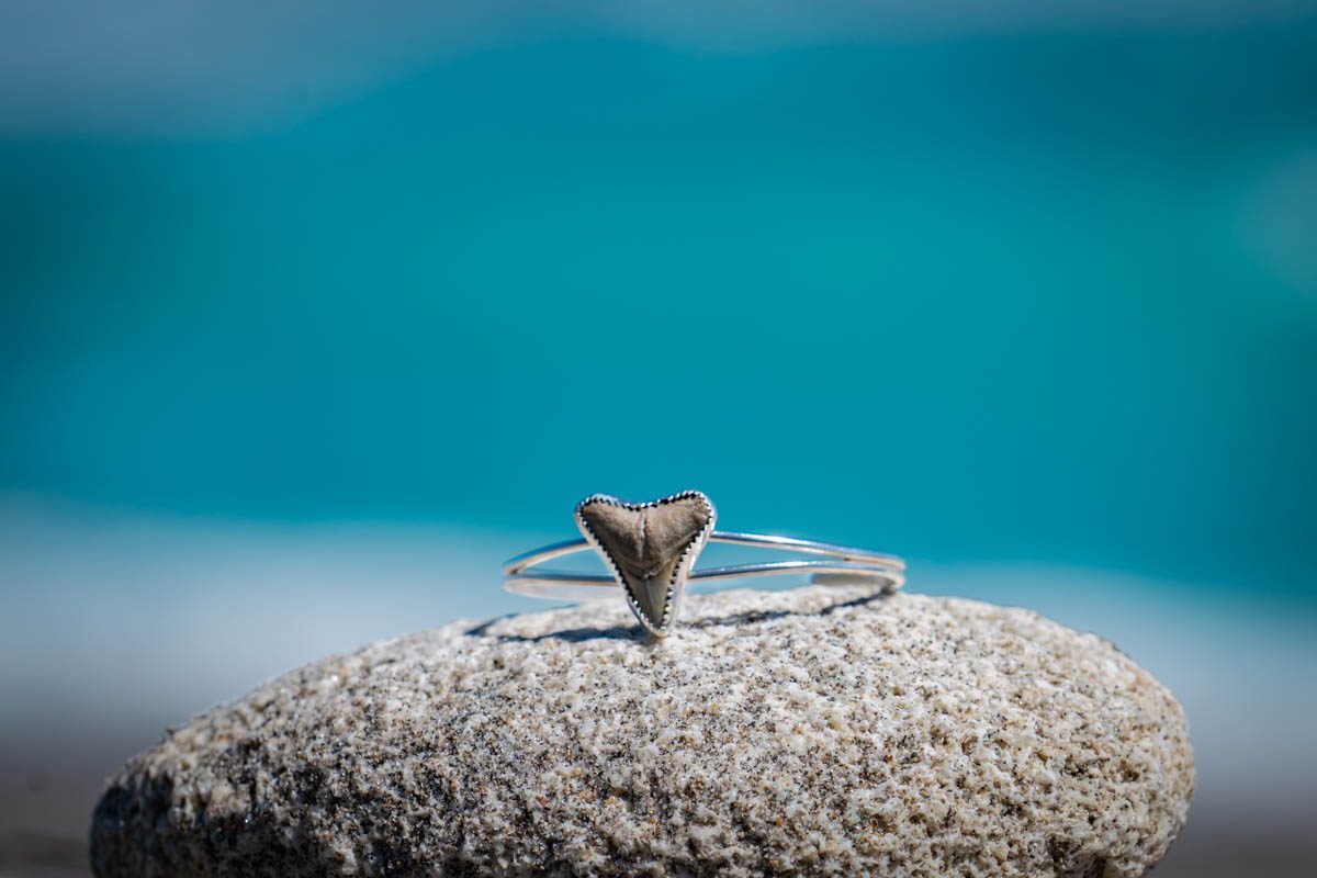 Custom Silver Shark Tooth Cuff