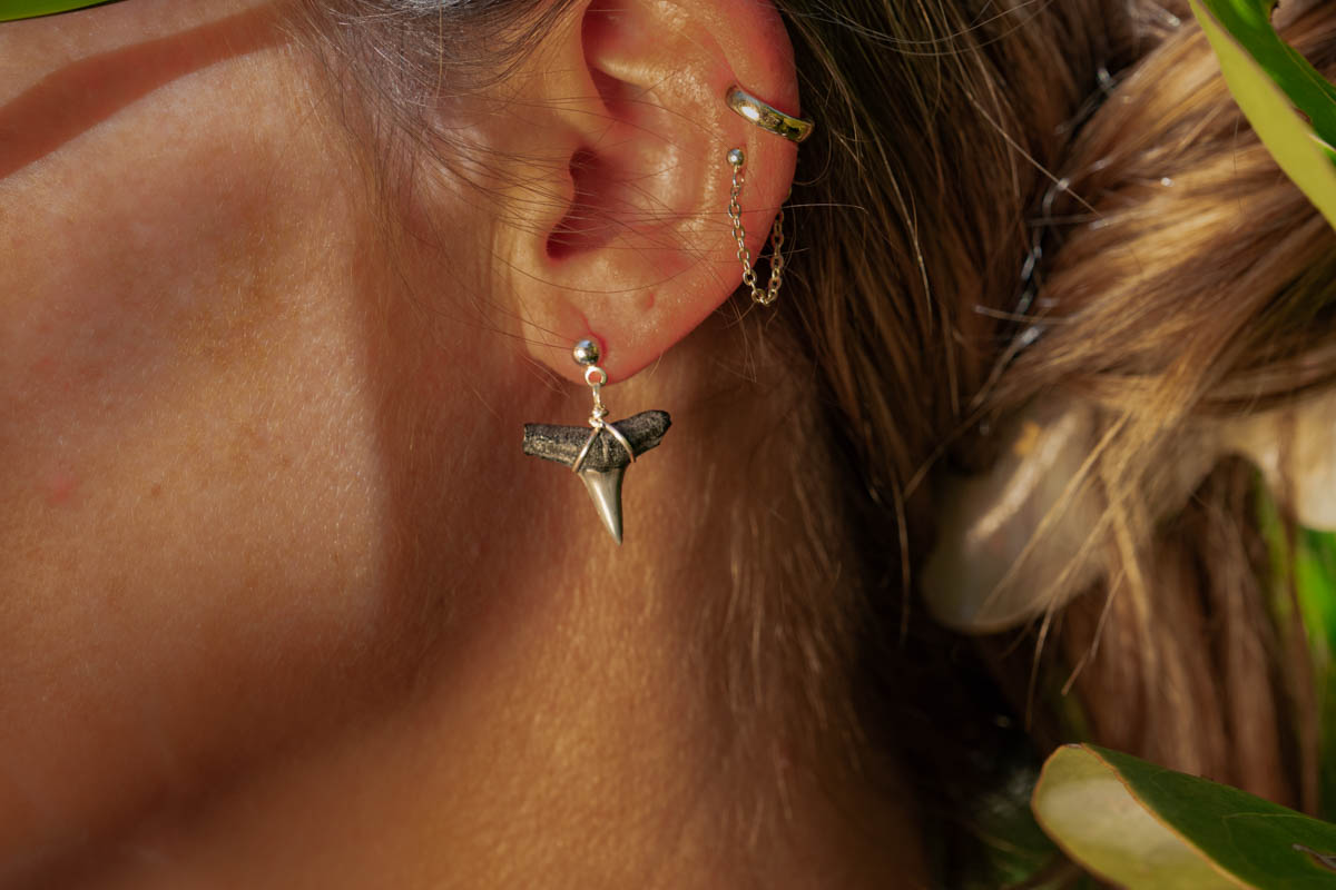 Small Shark Tooth Drop Earrings