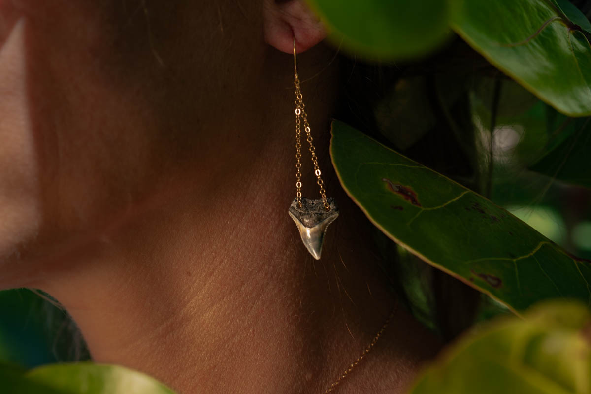 Double Drilled Dangles