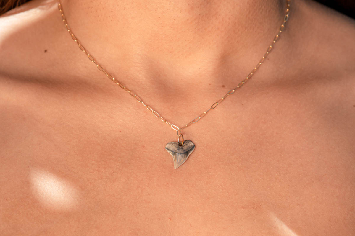Gold Drilled Shark Tooth Necklace - Image 4