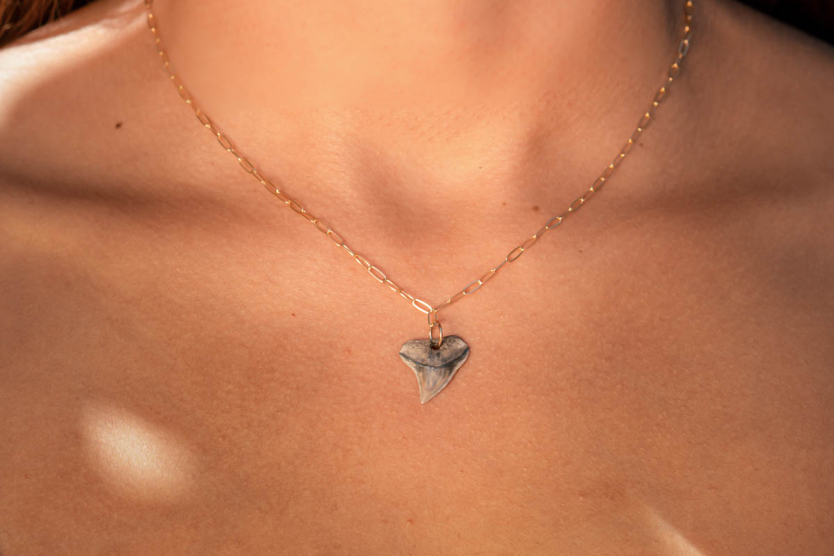 Gold Drilled Shark Tooth Necklace