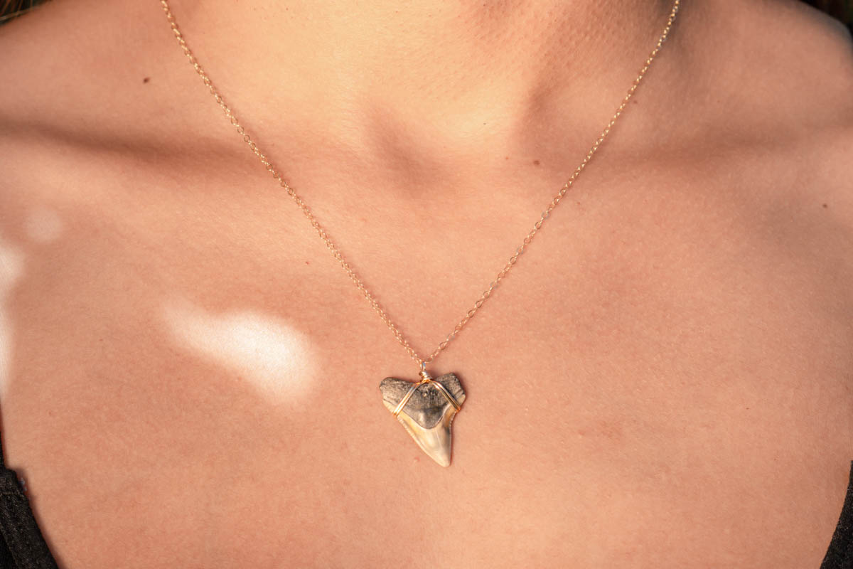 Wrapped Bull Shark Necklace