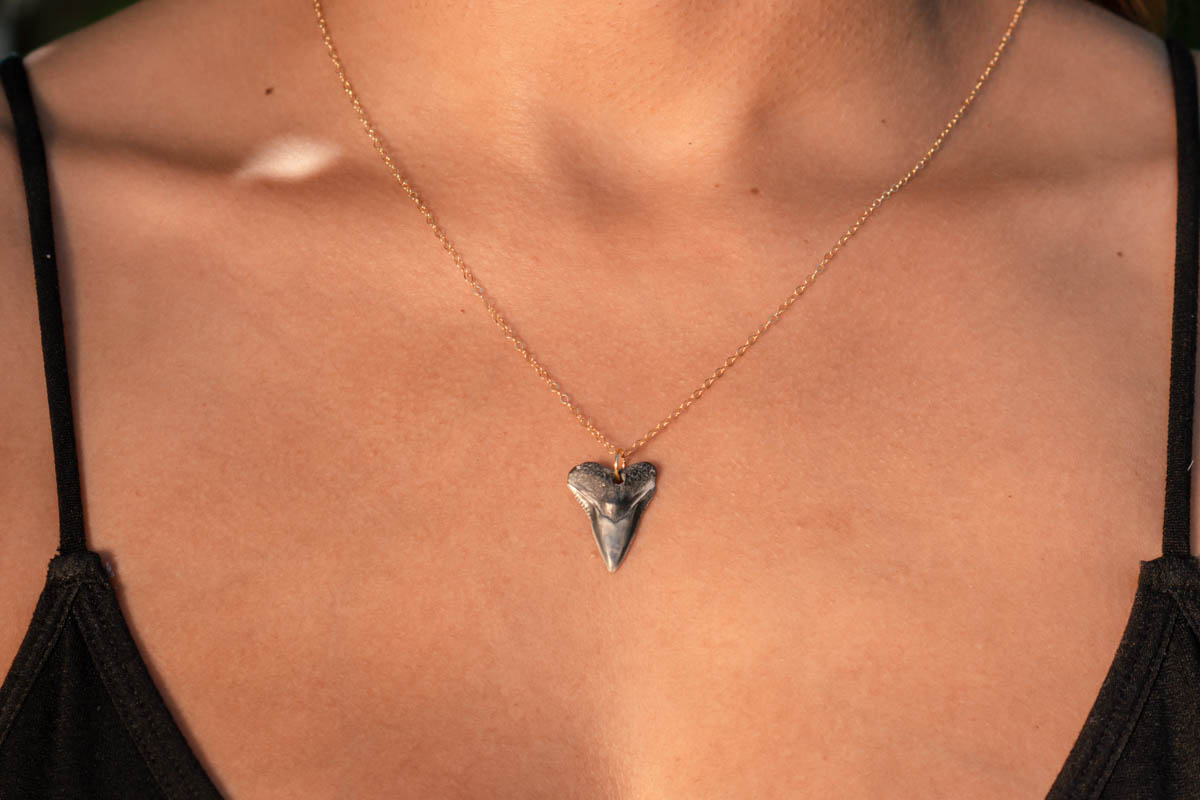 Drilled Shark Tooth Necklace - Image 6