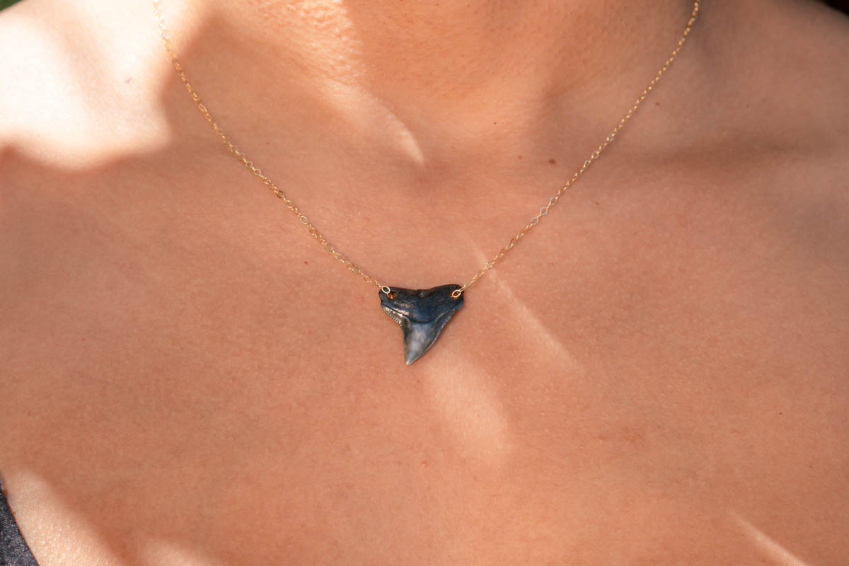 Double Drilled Shark Tooth Necklace - Image 6