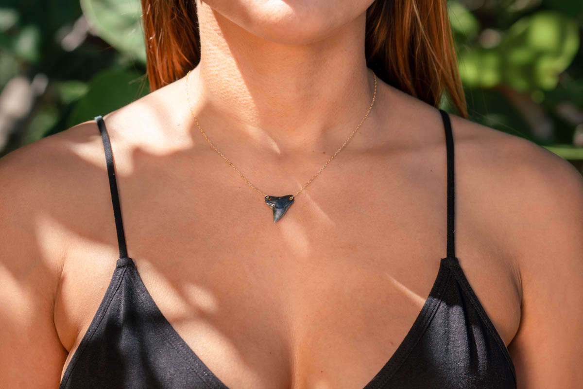 Double Drilled Shark Tooth Necklace - Image 3