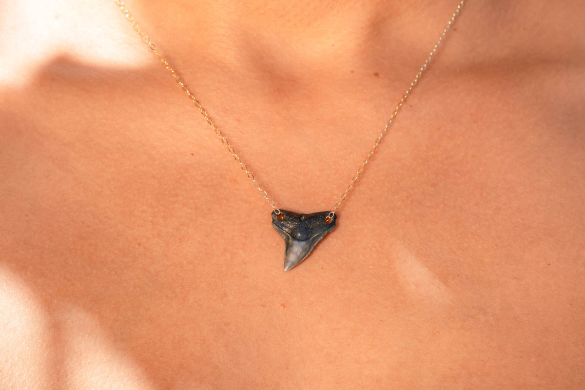 Double Drilled Shark Tooth Necklace