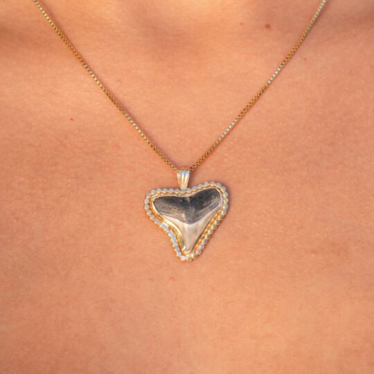 Sun Rays Shark Tooth Necklace