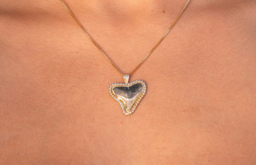 Sun Rays Shark Tooth Necklace