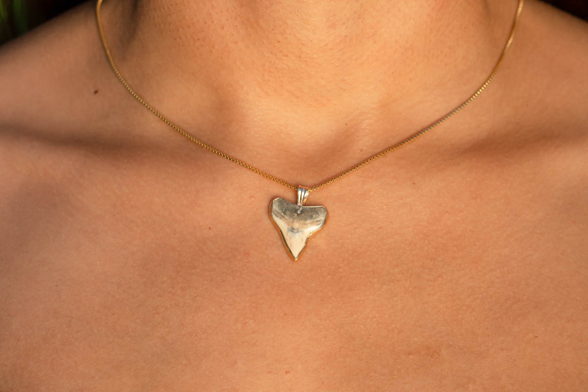 Custom Shark Tooth Necklace