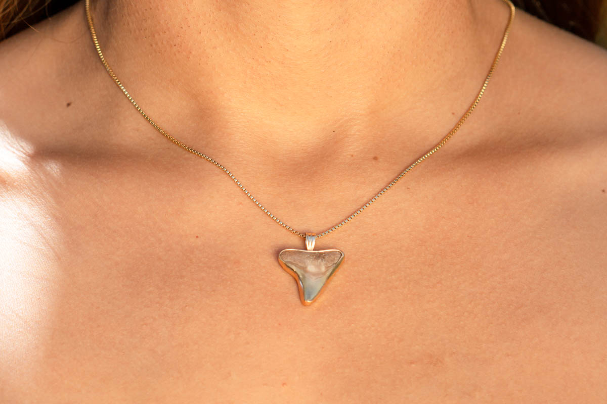 Custom Shark Tooth Necklace - Image 7