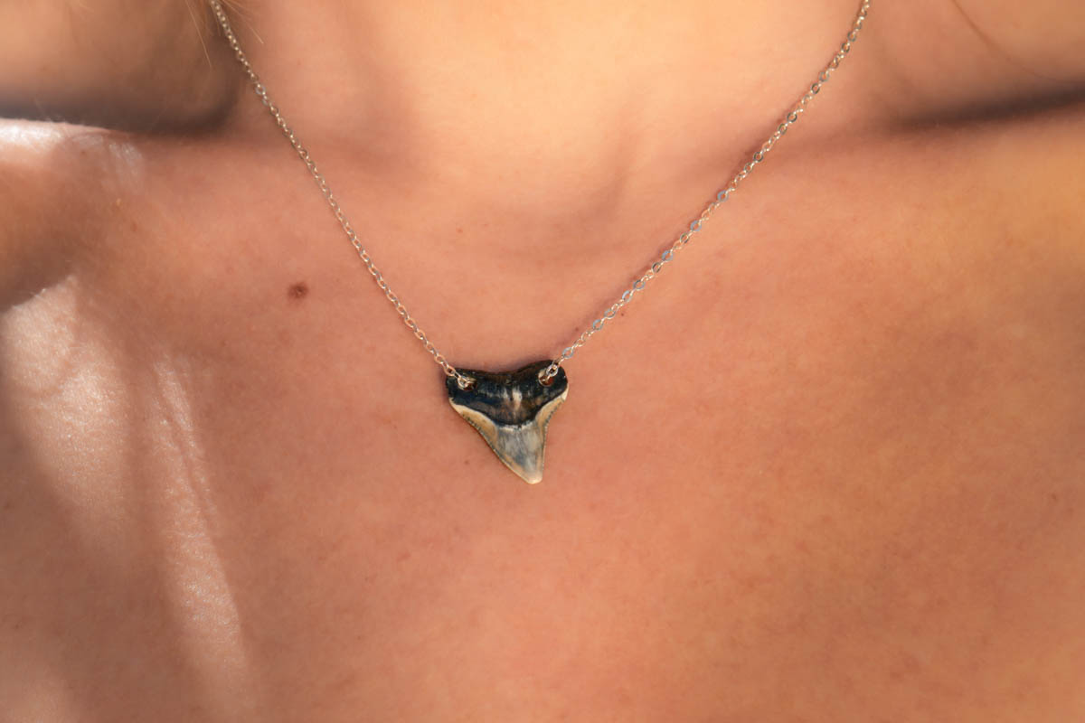 Double Drilled Shark Tooth Necklace - Image 5