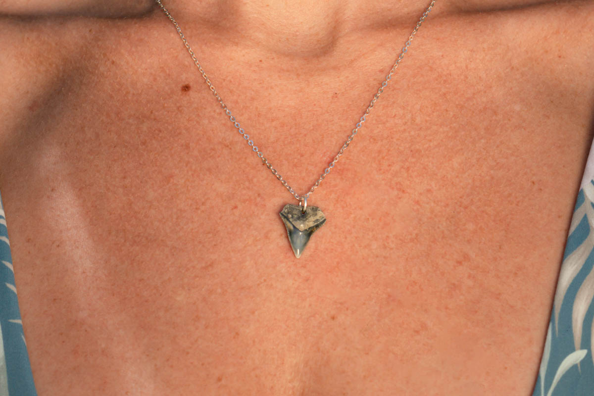 Drilled Shark Tooth Necklace - Image 5