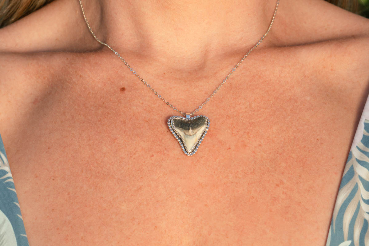 Sun Rays Shark Tooth Necklace - Image 8
