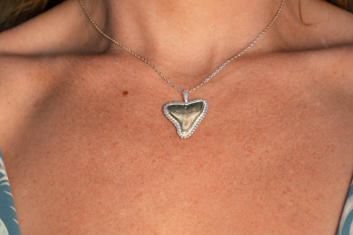 Sun Rays Shark Tooth Necklace - Image 7