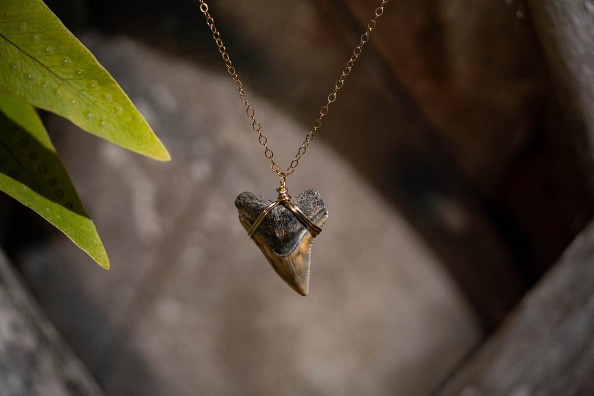 Wrapped Bull Shark Necklace - Image 2
