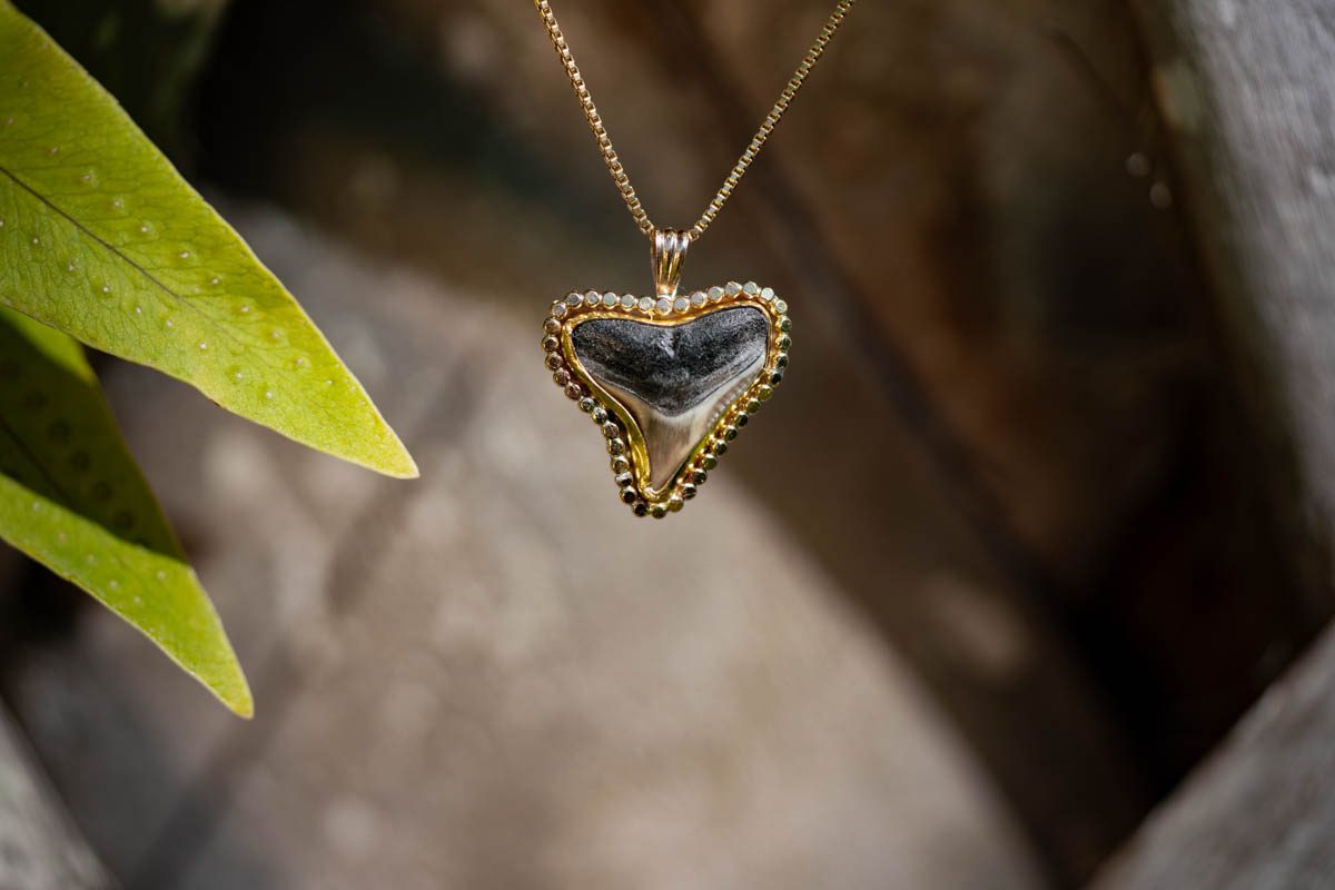 Sun Rays Shark Tooth Necklace - Image 2