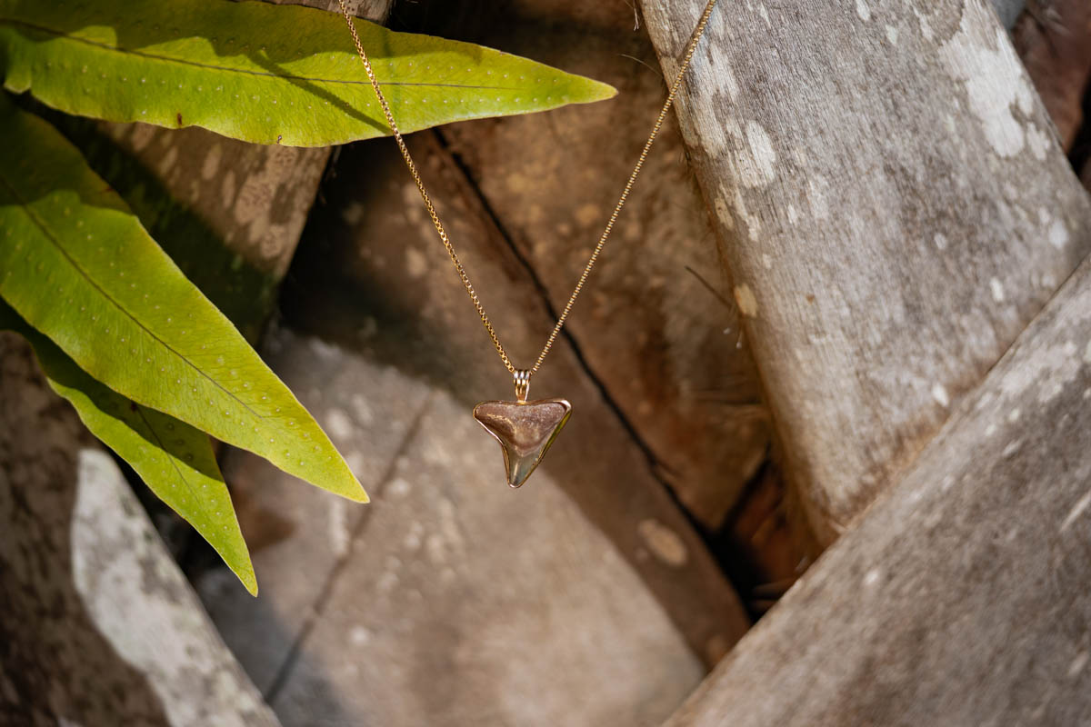 Custom Shark Tooth Necklace - Image 3