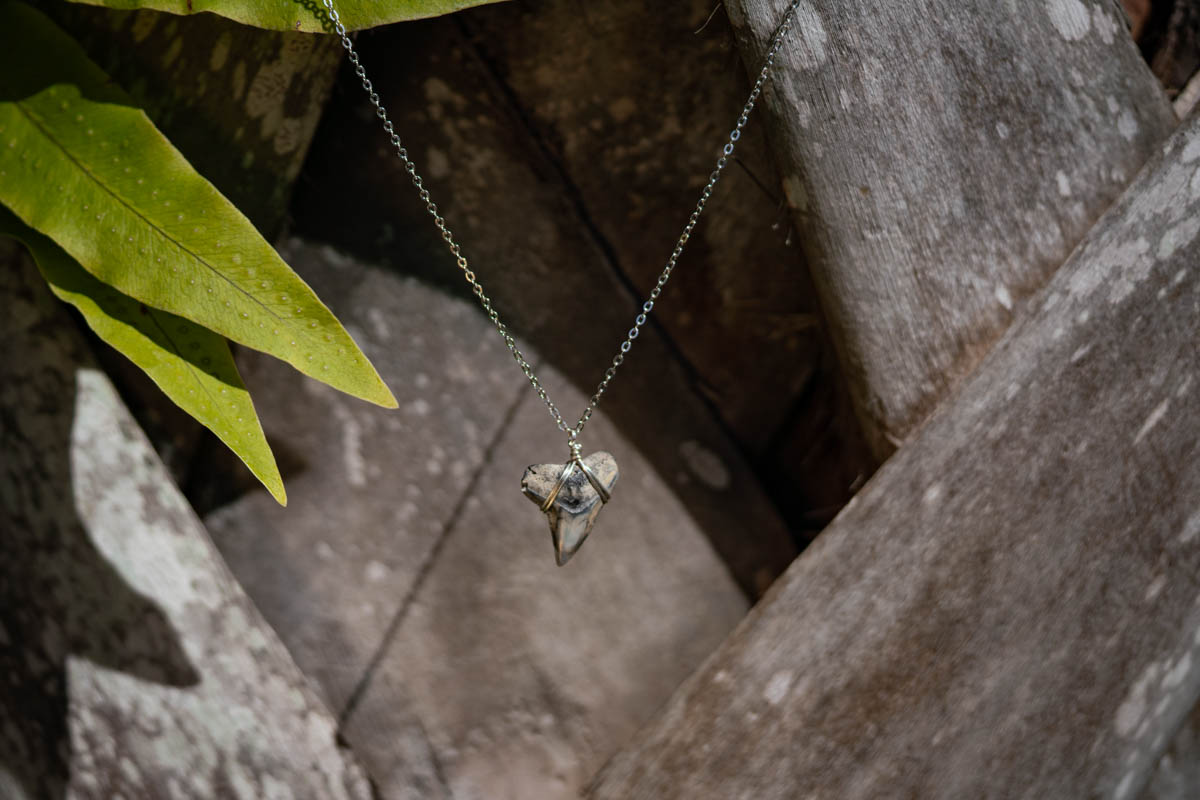 Wrapped Bull Shark Necklace - Image 3