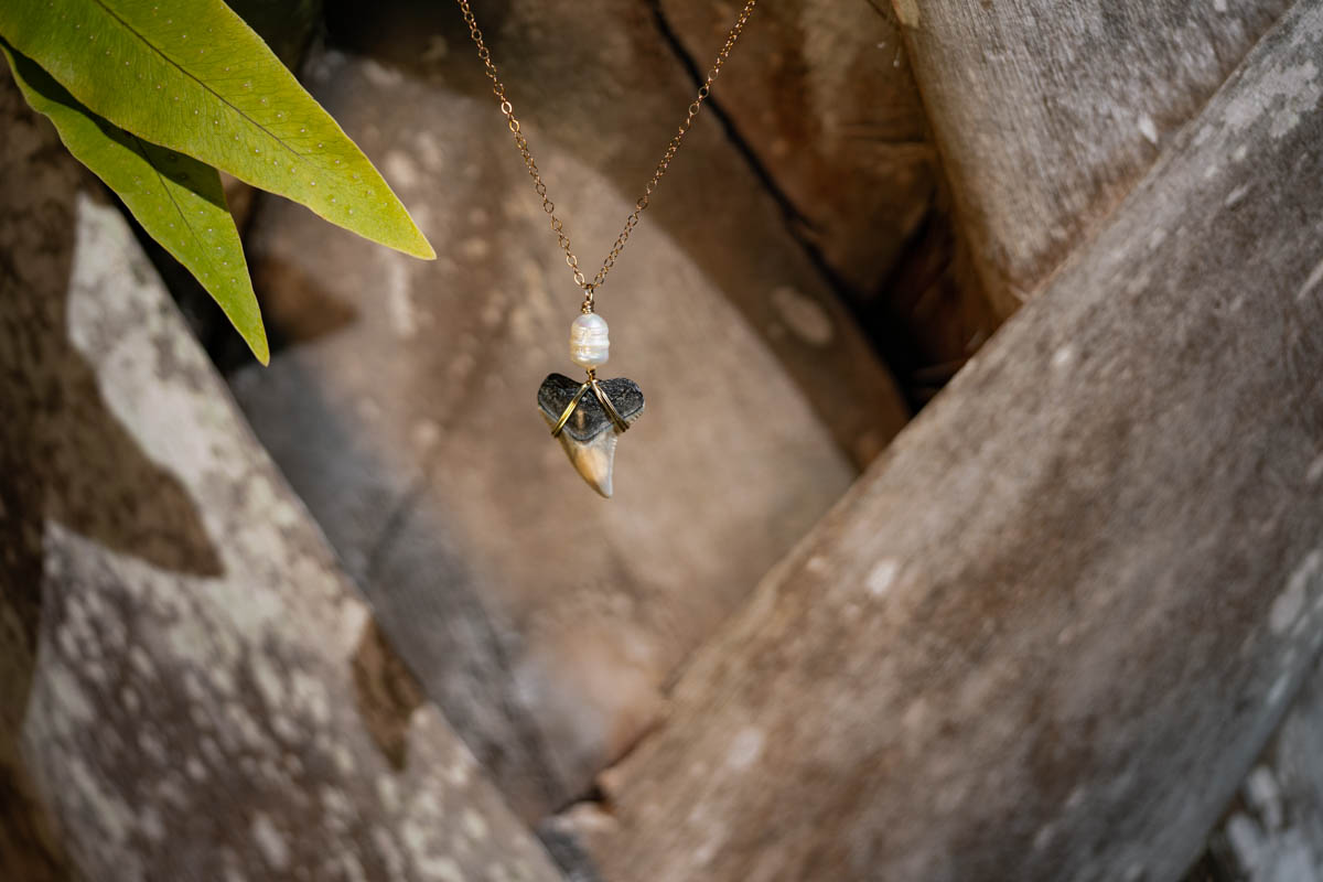 Shark Tooth Necklace with Pearl - Image 2