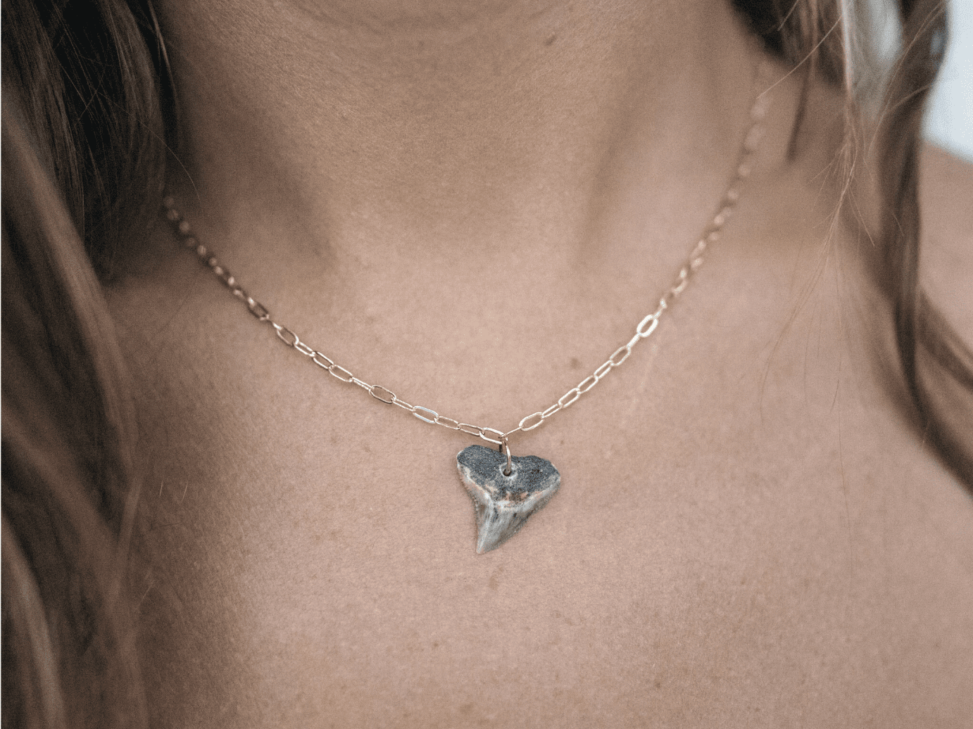 Gold Drilled Shark Tooth Necklace - Image 5