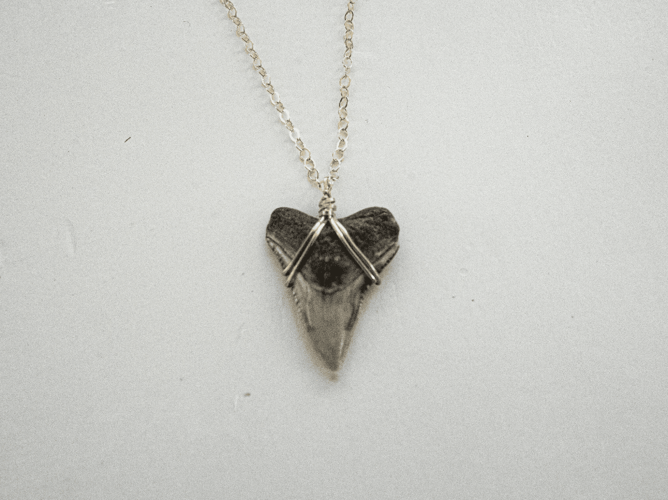 Wrapped Bull Shark Necklace - Image 8