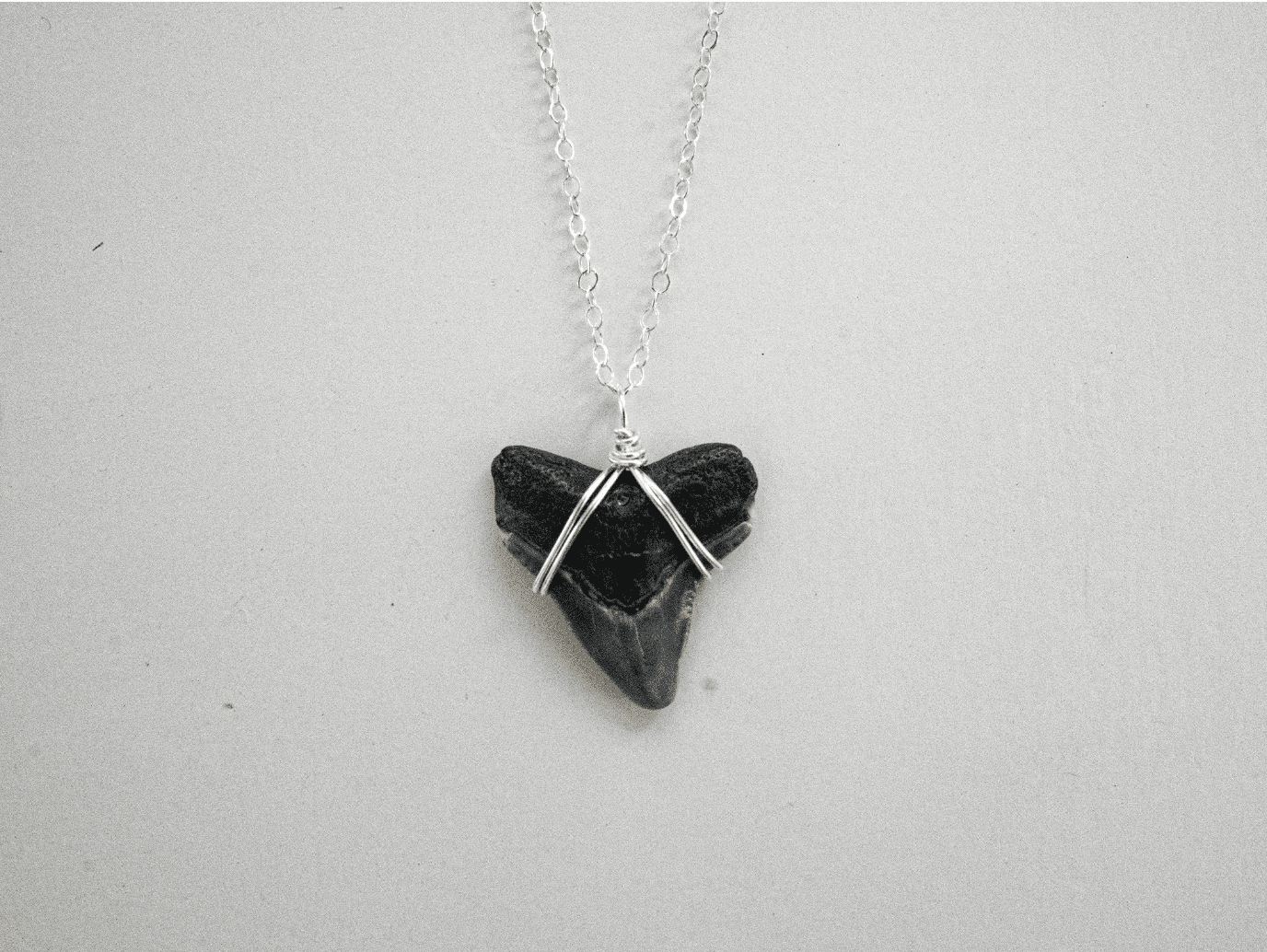 Wrapped Bull Shark Necklace - Image 9